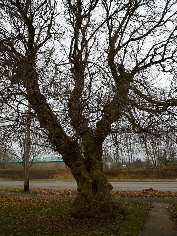 Brooksbnb Sussex Eksteriør bilde